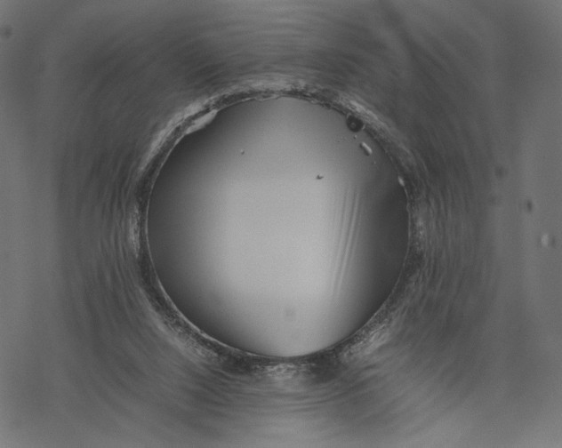 X0000067910064200605041654