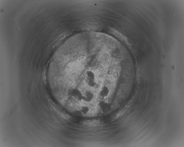 X0000067910065200605041654