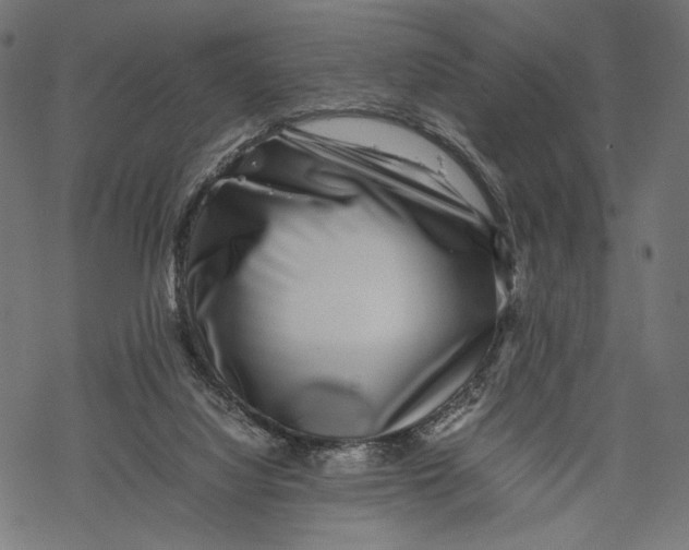 X0000067910068200605041654