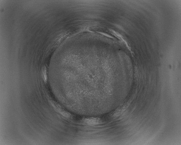 X0000067910069200605041654