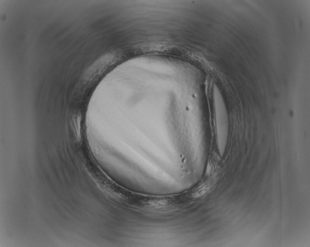 X0000067910070200605041654