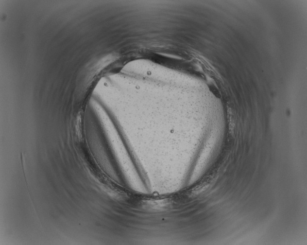 X0000067910071200605041654