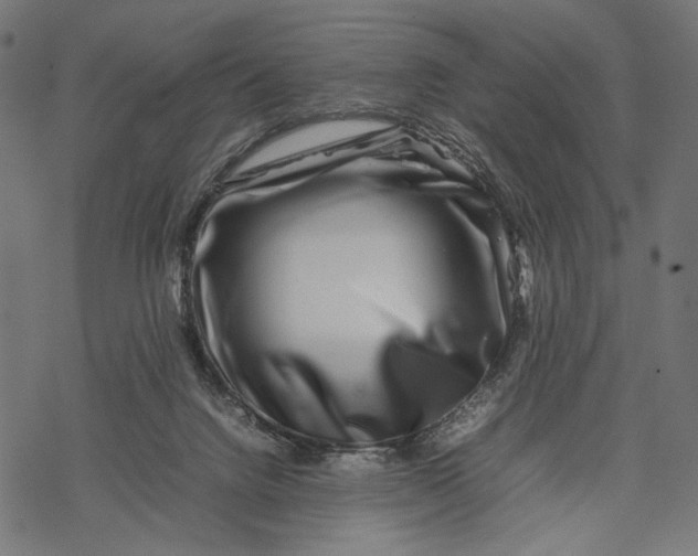 X0000067910072200605041654