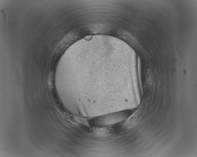 X0000067910074200605041654