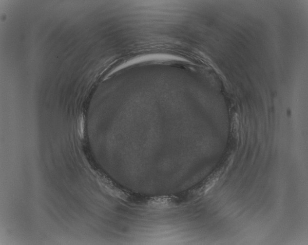 X0000067910076200605041654