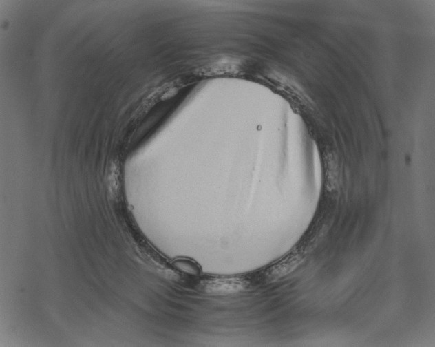 X0000067910077200605041654