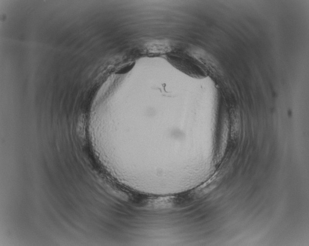 X0000067910078200605041654