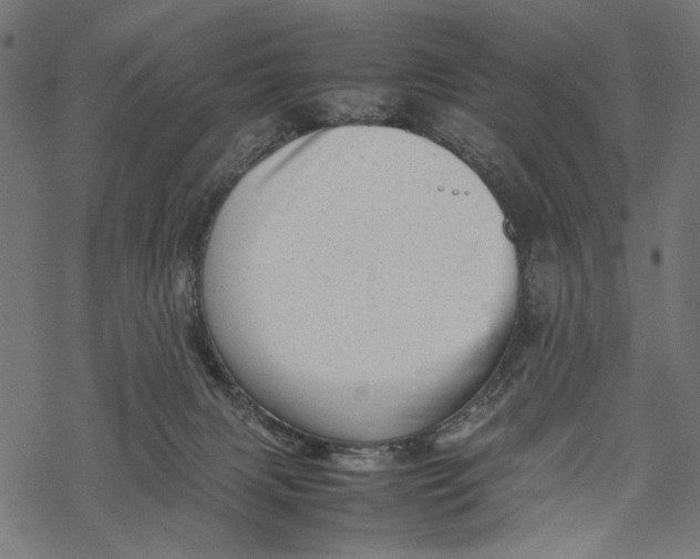 X0000067910079200605041654