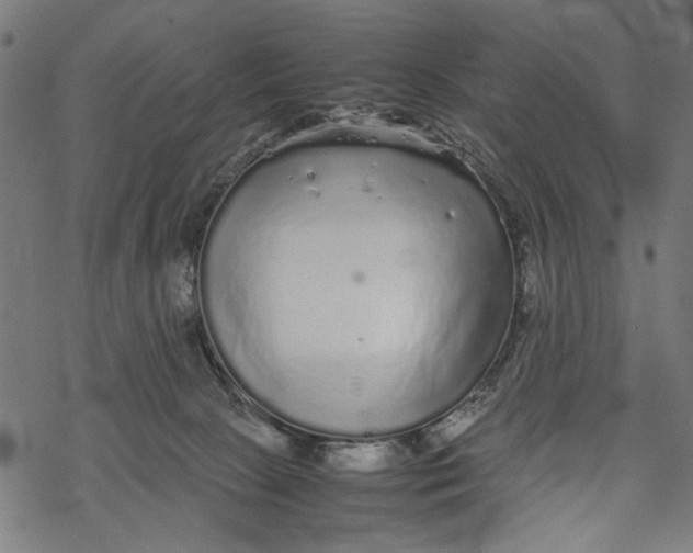 X0000067910081200605041654