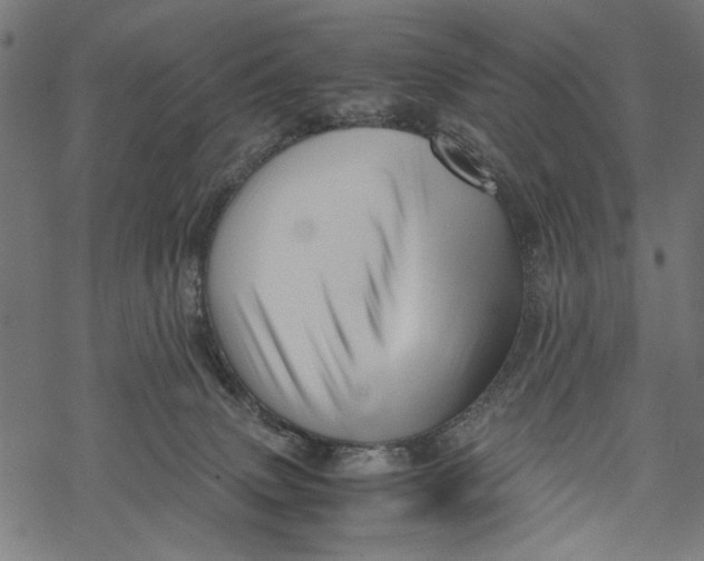 X0000067910083200605041654