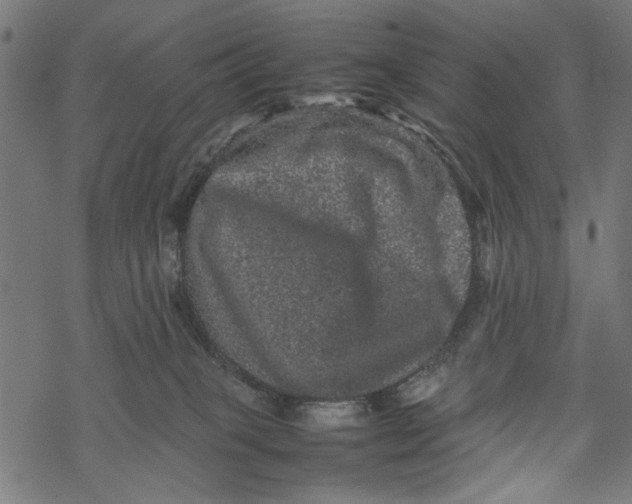 X0000067910085200605041654