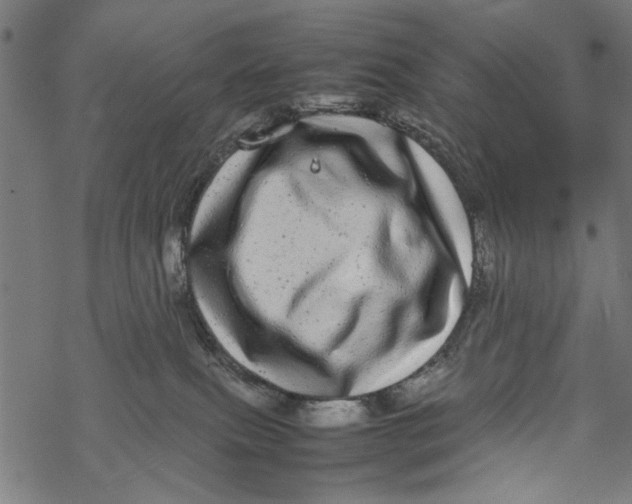 X0000067910087200605041654