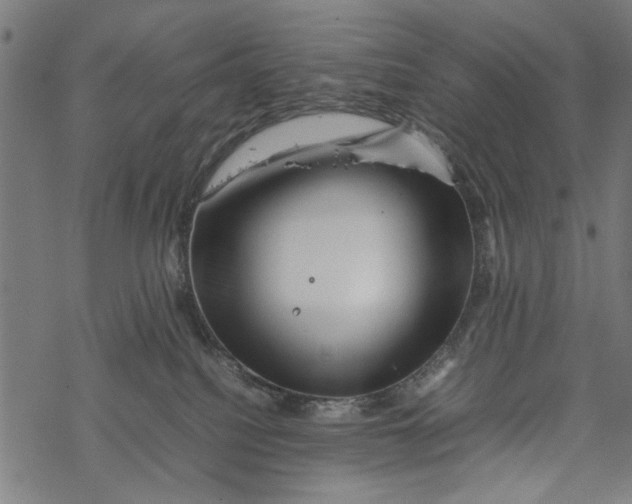 X0000067910088200605041654