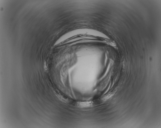 X0000067910089200605041654