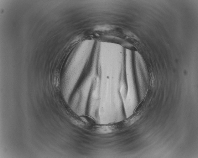 X0000067910091200605041654