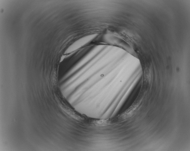 X0000067910092200605041654