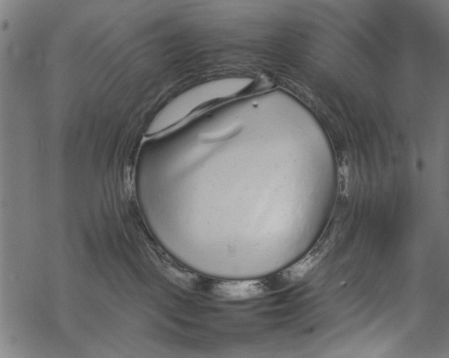 X0000067910093200605041654