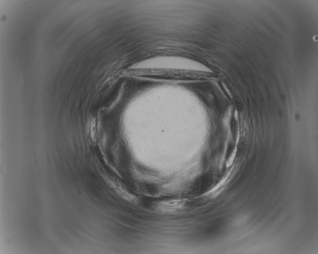 X0000067910094200605041654