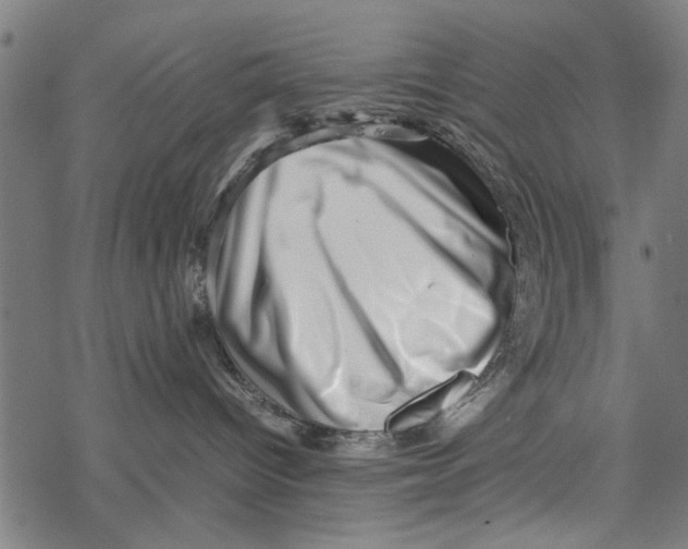 X0000067910096200605041654