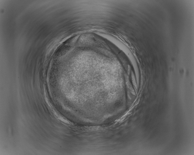 X0000067910097200605041654