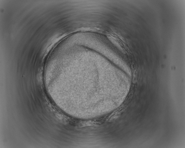 X0000067910098200605041654