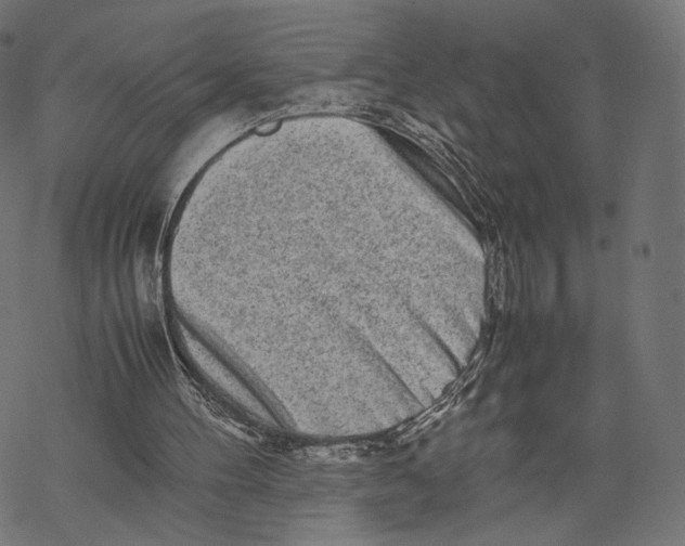 X0000067910100200605041654