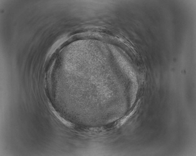 X0000067910101200605041654