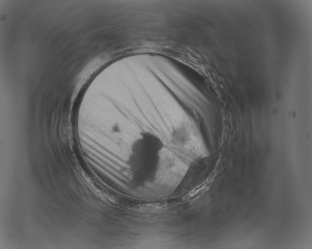 X0000067910102200605041654