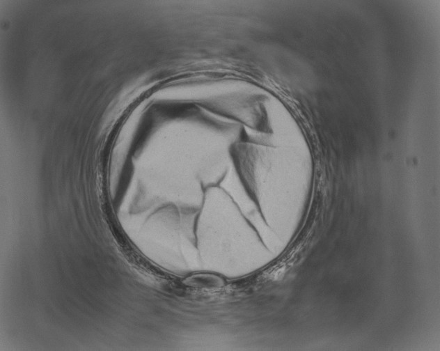 X0000067910103200605041654