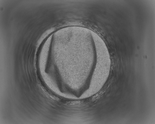 X0000067910104200605041653