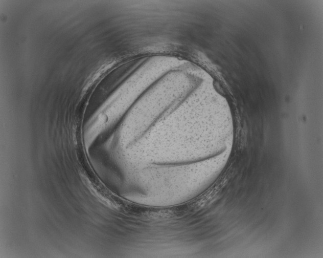 X0000067910106200605041653