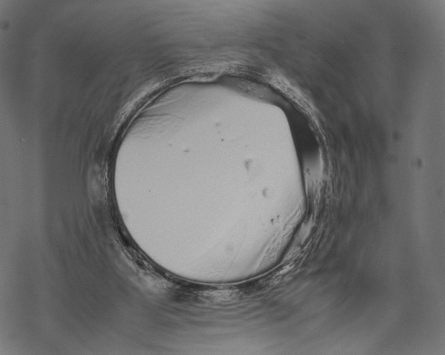 X0000067910107200605041653