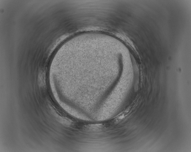 X0000067910108200605041653