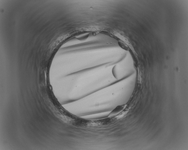 X0000067910109200605041653