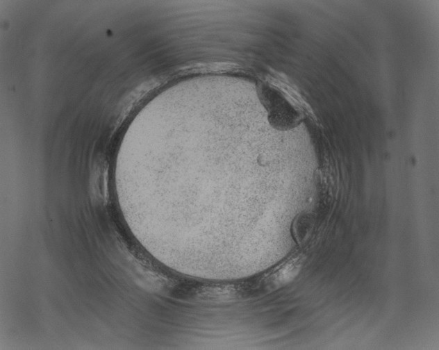 X0000067910110200605041653