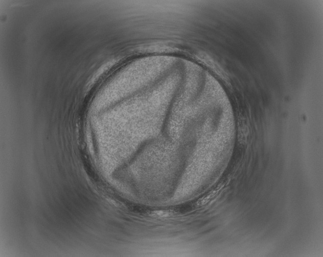 X0000067910111200605041653