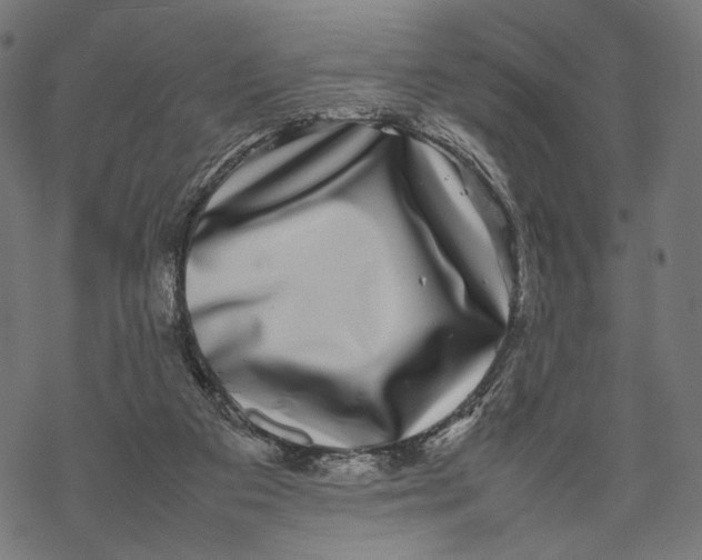 X0000067910113200605041653