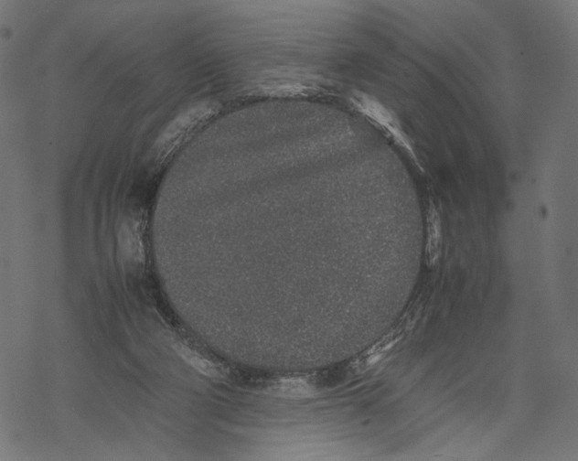 X0000067910114200605041653