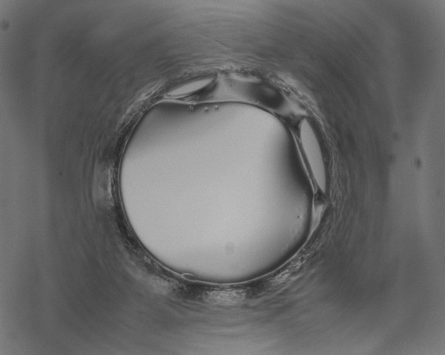 X0000067910115200605041653