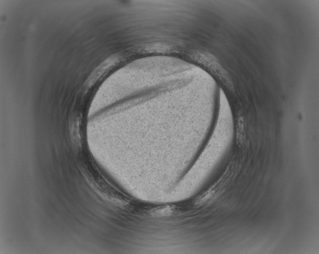 X0000067910116200605041653