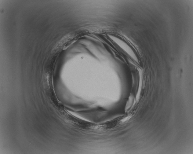 X0000067910117200605041653