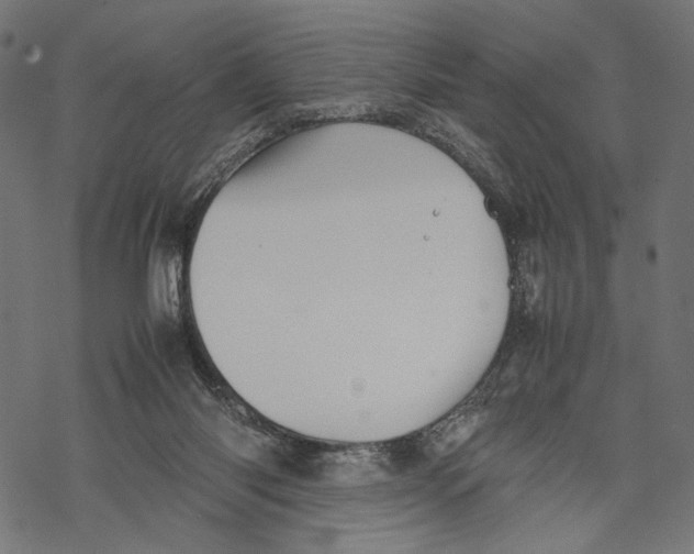 X0000067910118200605041653