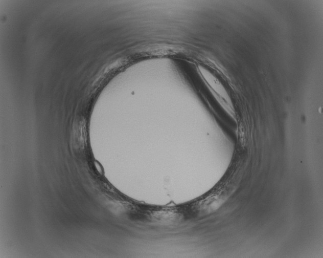 X0000067910119200605041653