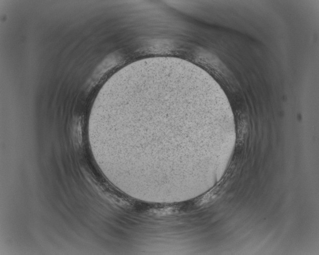 X0000067910120200605041653