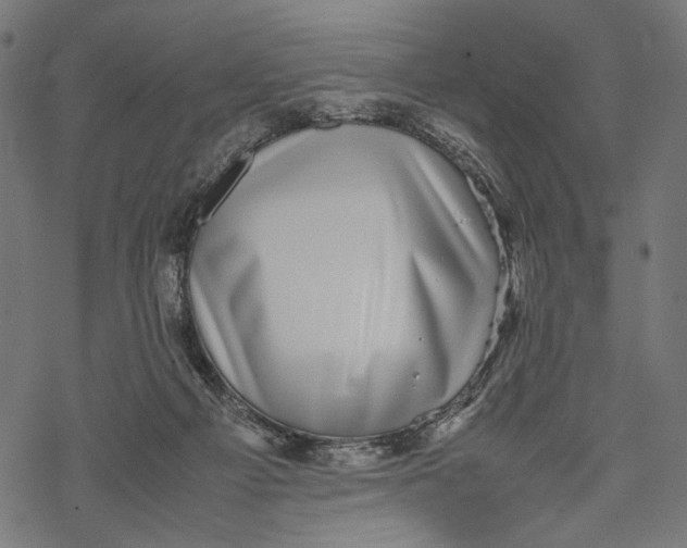 X0000067910121200605041653