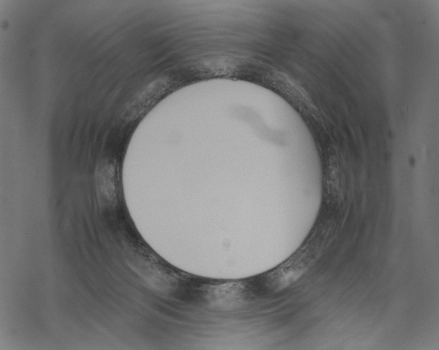 X0000067910122200605041653