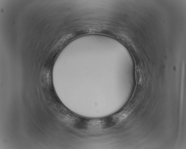 X0000067910123200605041653