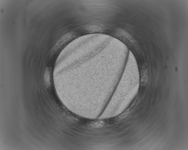 X0000067910124200605041653