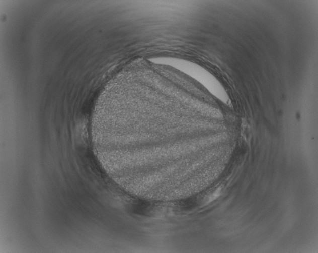 X0000067910127200605041653