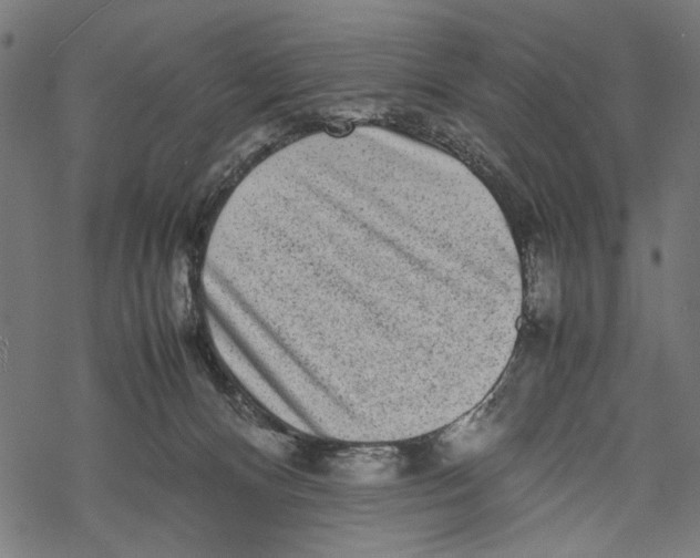 X0000067910128200605041653